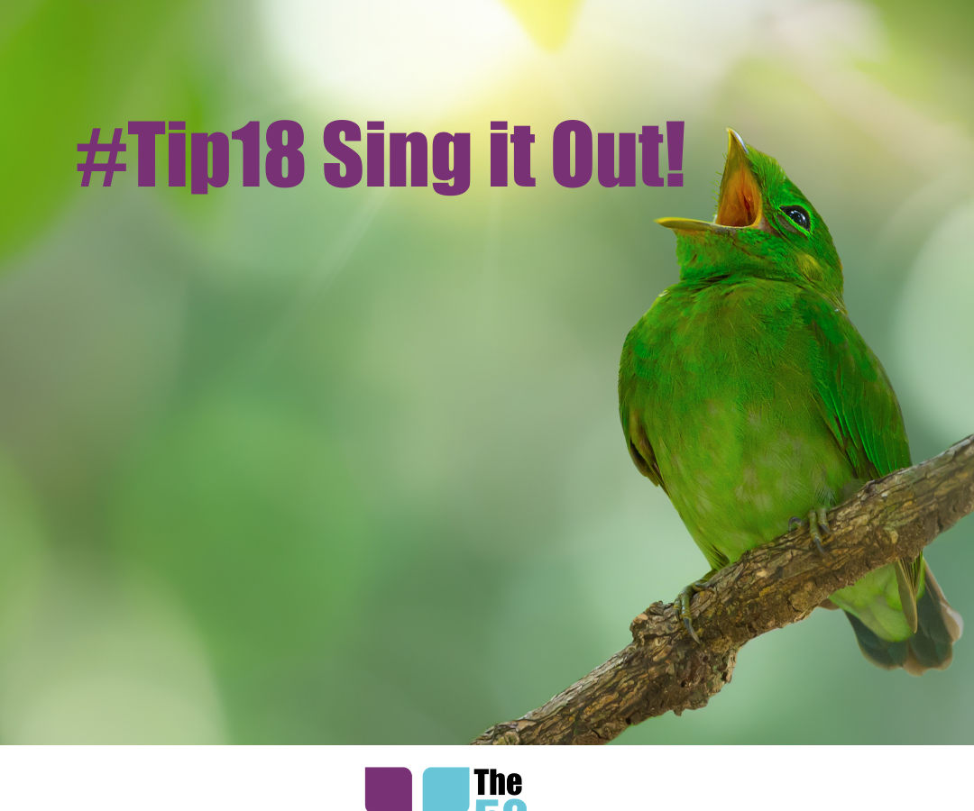 singing, sing it out, singing is good for you, neuroscience, wellbeing, community wellbeing project, the 52 project, 52 tips, tip 18, its not bloody rocket science, think it out, singing for fun